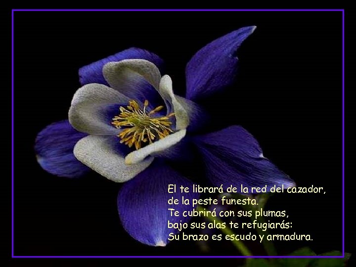 El te librará de la red del cazador, de la peste funesta. Te cubrirá