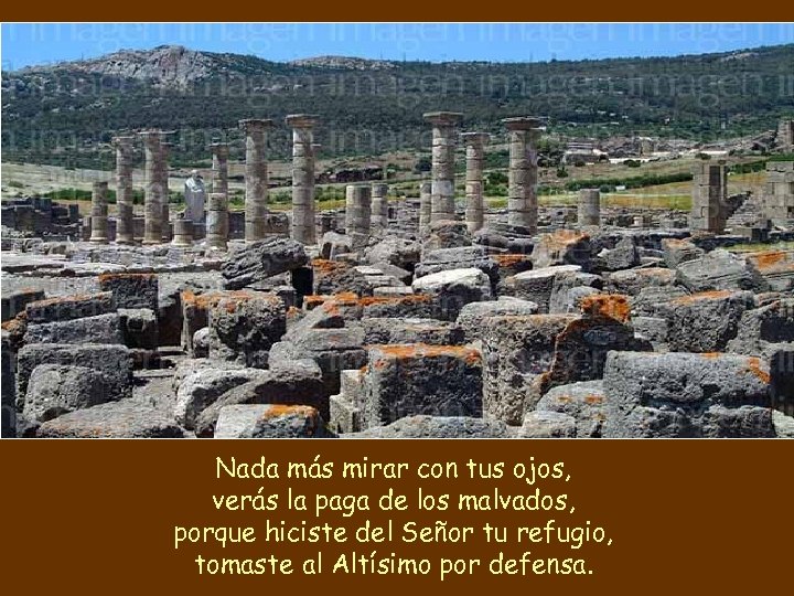 Nada más mirar con tus ojos, verás la paga de los malvados, porque hiciste