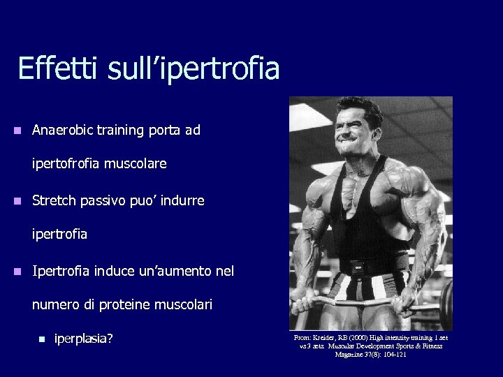 Effetti sull’ipertrofia n Anaerobic training porta ad ipertofrofia muscolare n Stretch passivo puo’ indurre