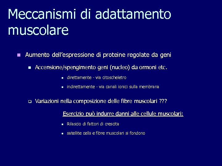 Meccanismi di adattamento muscolare n Aumento dell’espressione di proteine regolate da geni n Accensione/spengimento