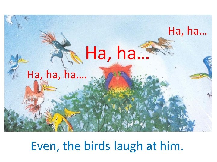 Ha, ha…. Even, the birds laugh at him. 