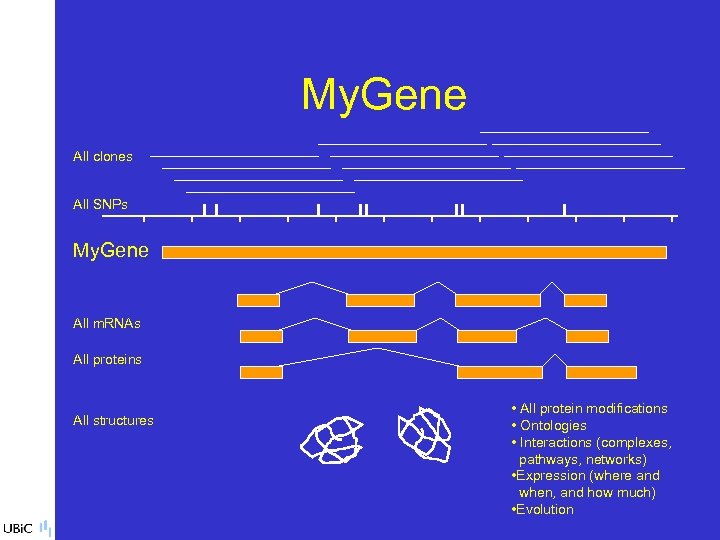 My. Gene All clones All SNPs My. Gene All m. RNAs All proteins All