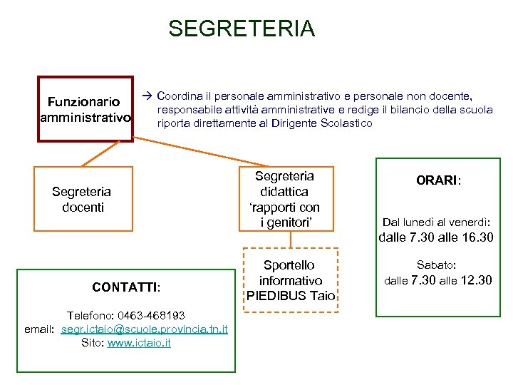 SEGRETERIA Funzionario amministrativo Coordina il personale amministrativo e personale non docente, responsabile attività amministrative