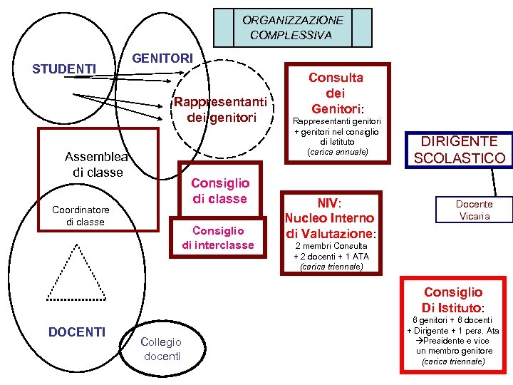 ORGANIZZAZIONE COMPLESSIVA STUDENTI GENITORI Rappresentanti dei genitori Assemblea di classe Consiglio di classe Coordinatore