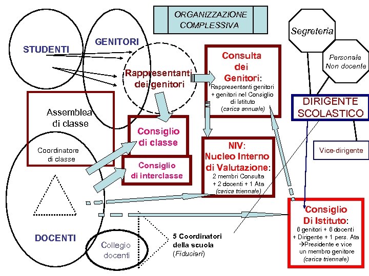 ORGANIZZAZIONE COMPLESSIVA STUDENTI Segreteria GENITORI Rappresentanti dei genitori Assemblea di classe Consiglio di classe