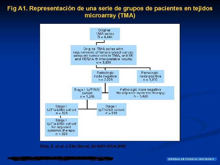 Fig A 1. Representación de una serie de grupos de pacientes en tejidos microarray