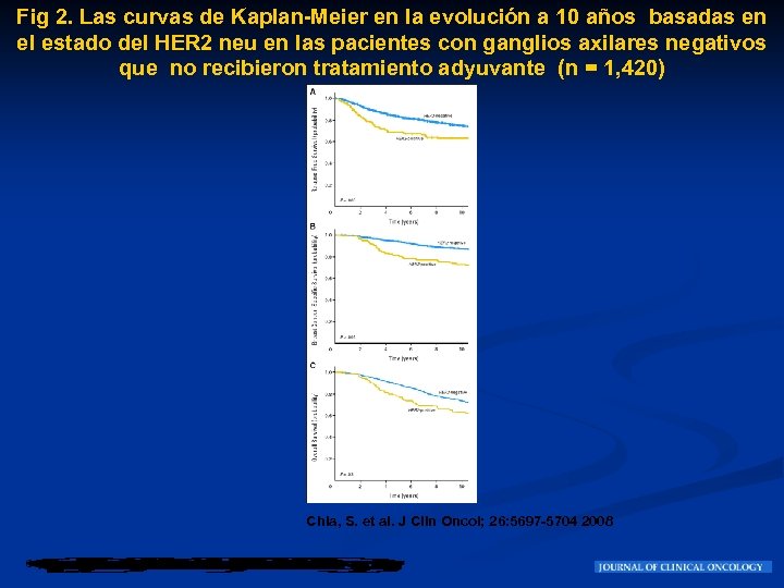 Fig 2. Las curvas de Kaplan-Meier en la evolución a 10 años basadas en