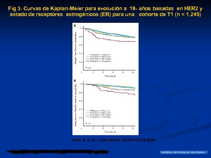 Fig 3. Curvas de Kaplan-Meier para evolución a 10 - años basadas en HER