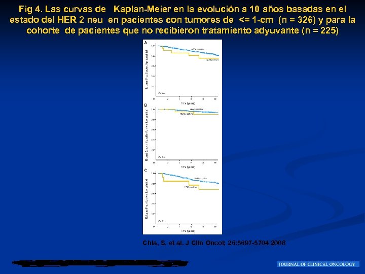 Fig 4. Las curvas de Kaplan-Meier en la evolución a 10 años basadas en