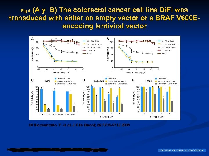 (A y B) The colorectal cancer cell line Di. Fi was transduced with either