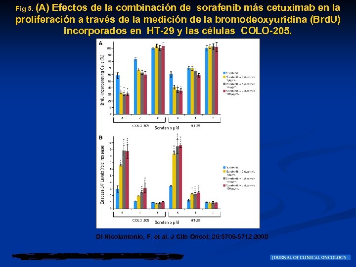 Fig 5. (A) Efectos de la combinación de sorafenib más cetuximab en la proliferación