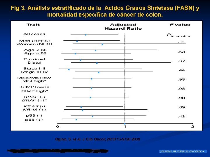 Fig 3. Análisis estratificado de la Acidos Grasos Sintetasa (FASN) y mortalidad específica de