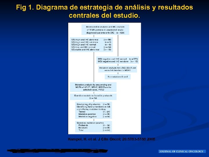 Fig 1. Diagrama de estrategia de análisis y resultados centrales del estudio. Hampel, H.