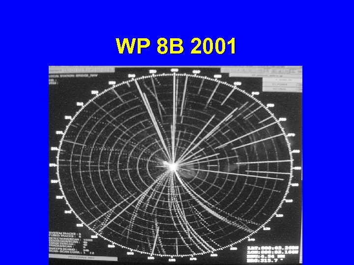 WP 8 B 2001 