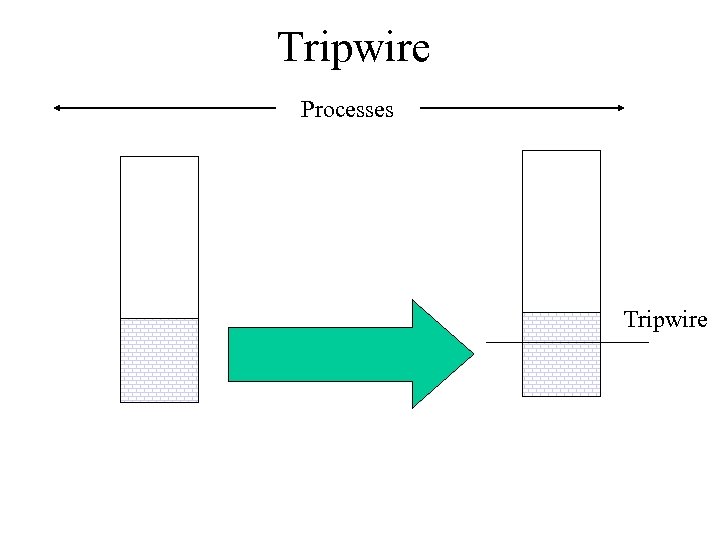 Tripwire Processes Tripwire 