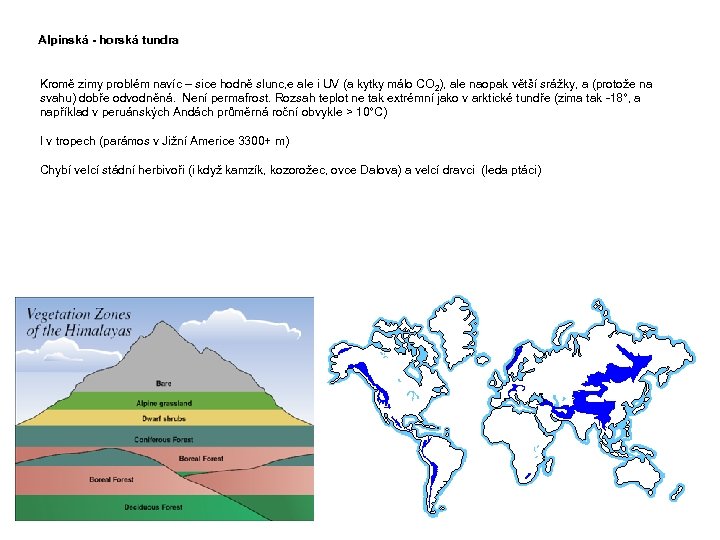 Alpinská - horská tundra Kromě zimy problém navíc – sice hodně slunc, e ale