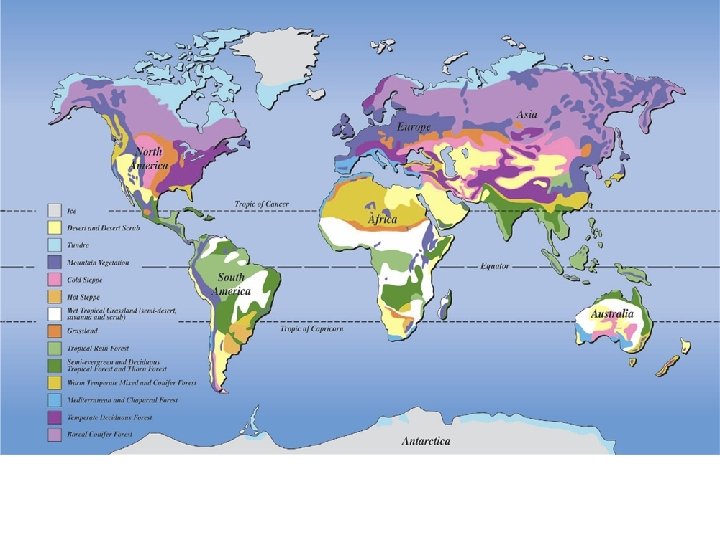 H iso biome. Биомы земли. Природные зоны биомы мира. Карта биомов мира. Биомы земли таблица.