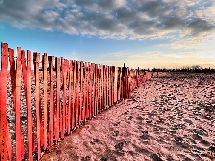 Foto: Grant Mac. Donald op flickr. com 