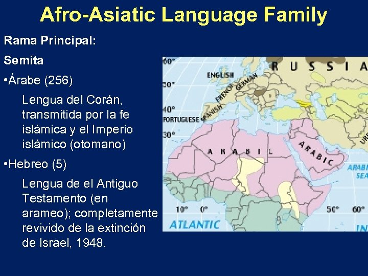 Afro-Asiatic Language Family Rama Principal: Semita • Árabe (256) Lengua del Corán, transmitida por