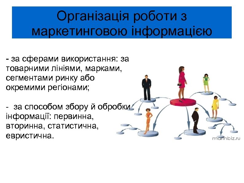 Організація роботи з маркетинговою інформацією - за сферами використання: за товарними лініями, марками, сегментами