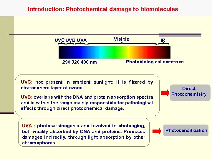 Introduction: Photochemical damage to biomolecules UVC UVB UVA 290 320 400 nm Visible IR