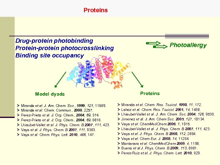 Proteins Drug-protein photobinding Protein-protein photocrosslinking Binding site occupancy Model dyads Ø Miranda et al.