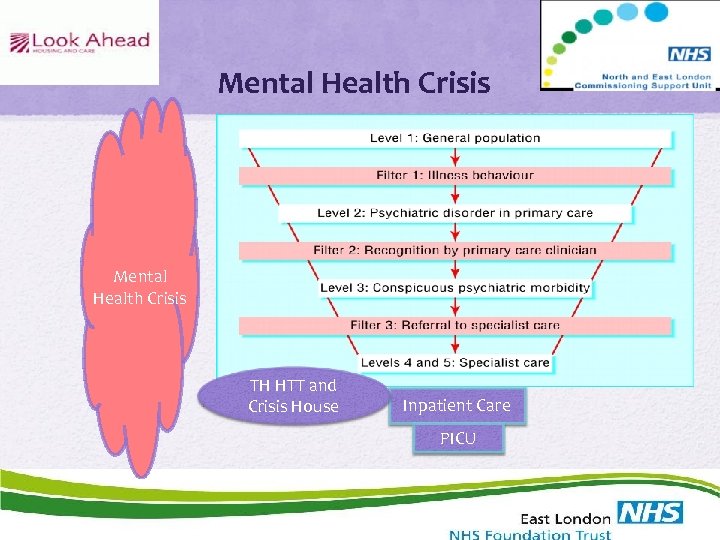 Mental Health Crisis TH HTT and Crisis House Inpatient Care PICU 