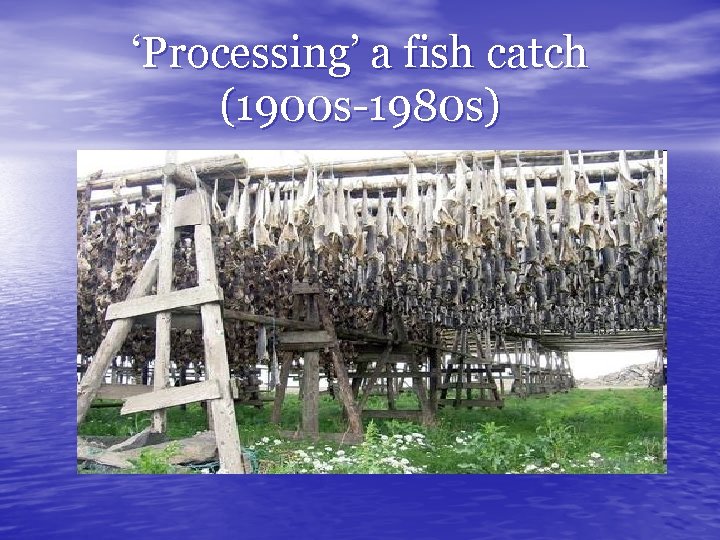 ‘Processing’ a fish catch (1900 s-1980 s) 