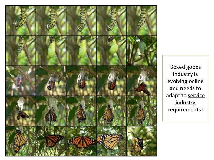 Boxed goods industry is evolving online and needs to adapt to service industry requirements!