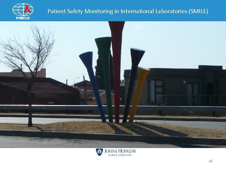 Patient Safety Monitoring in International Laboratories (SMILE) 43 