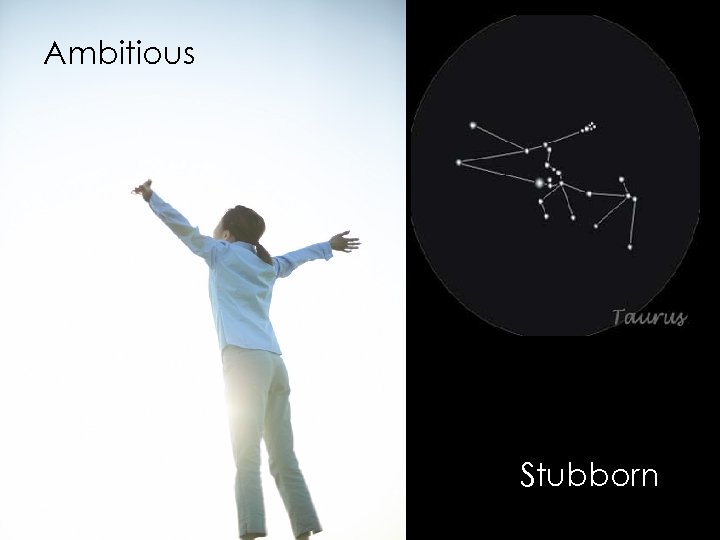 Ambitious Stubborn 
