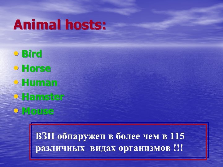 Animal hosts: • Bird • Horse • Human • Hamster • Mouse ВЗН обнаружен