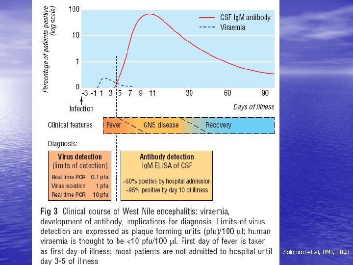 Solomon et al, BMJ, 2003 