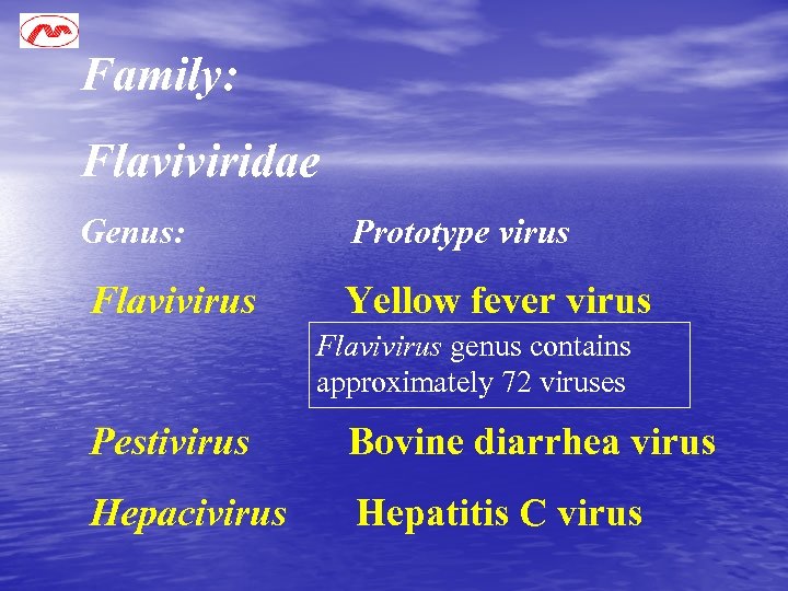 Family: Flaviviridae Genus: Prototype virus Flavivirus Yellow fever virus Flavivirus genus contains approximately 72