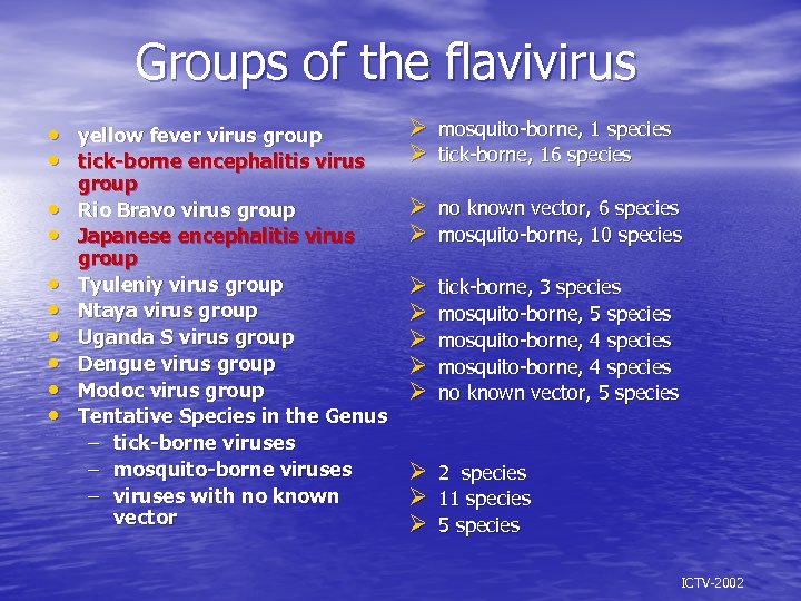 Groups of the flavivirus • • • yellow fever virus group tick-borne encephalitis virus