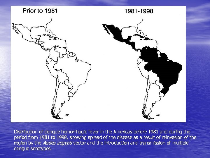 Distribution of dengue hemorrhagic fever in the Americas before 1981 and during the period