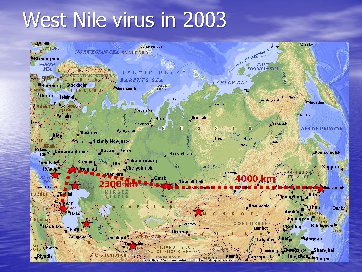 West Nile virus in 2003 2300 km 4000 km 