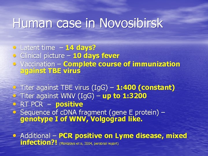 Human case in Novosibirsk • Latent time – 14 days? • Clinical picture –