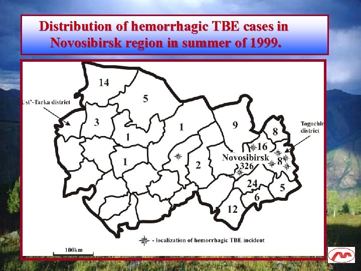 Distribution of hemorrhagic TBE cases in Novosibirsk region in summer of 1999. 