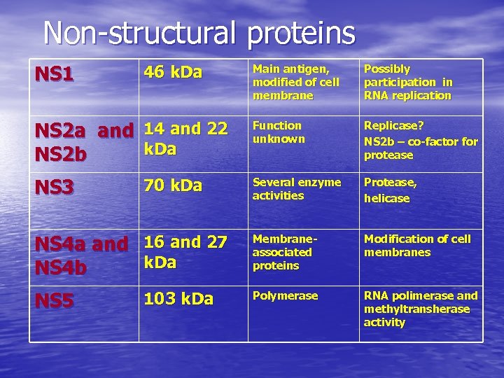 Non-structural proteins NS 1 46 k. Da Main antigen, modified of cell membrane Possibly