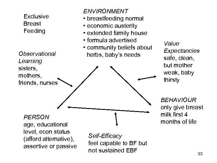 Exclusive Breast Feeding Observational Learning sisters, mothers, friends, nurses PERSON age, educational level, econ