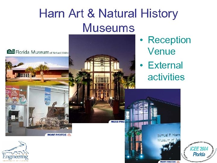 Harn Art & Natural History Museums • Reception Venue • External activities 