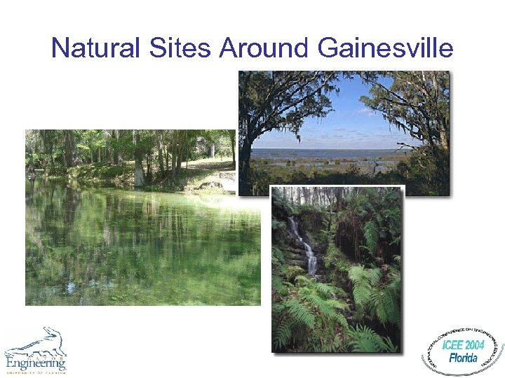 Natural Sites Around Gainesville 
