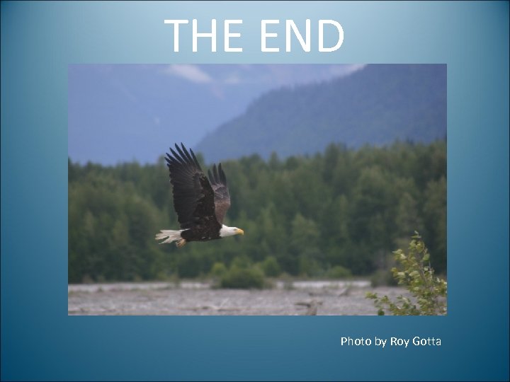 THE END Photo by Roy Gotta 