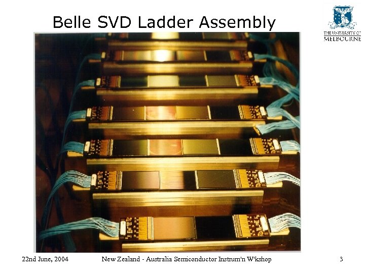 Belle SVD Ladder Assembly 22 nd June, 2004 New Zealand - Australia Semiconductor Instrum'n