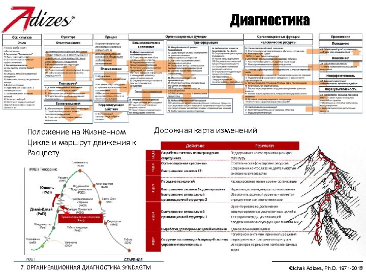 Дорожная карта реорганизации