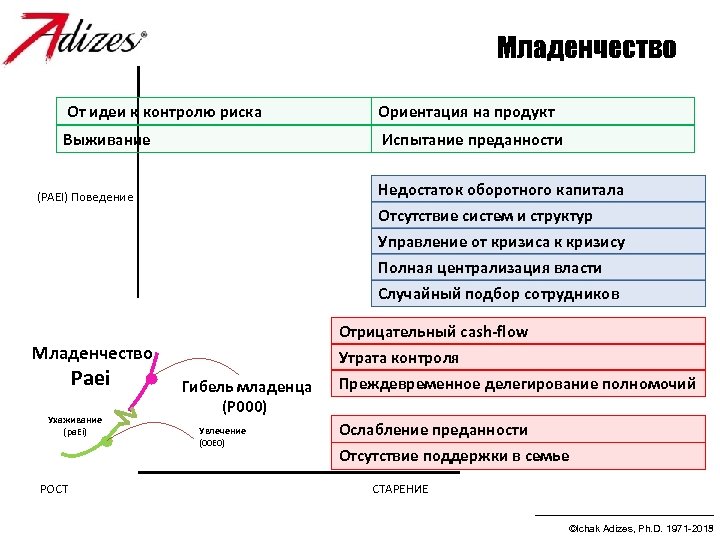 Младенчество От идеи к контролю риска Ориентация на продукт Выживание Испытание преданности Недостаток оборотного
