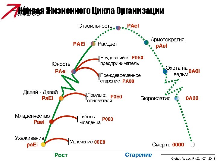 Как правильно трактовать зубчики на схеме адизеса перед этапами младенчество бюрократизация и юность