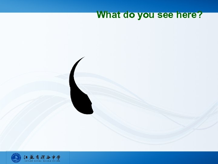 What do you see here? 