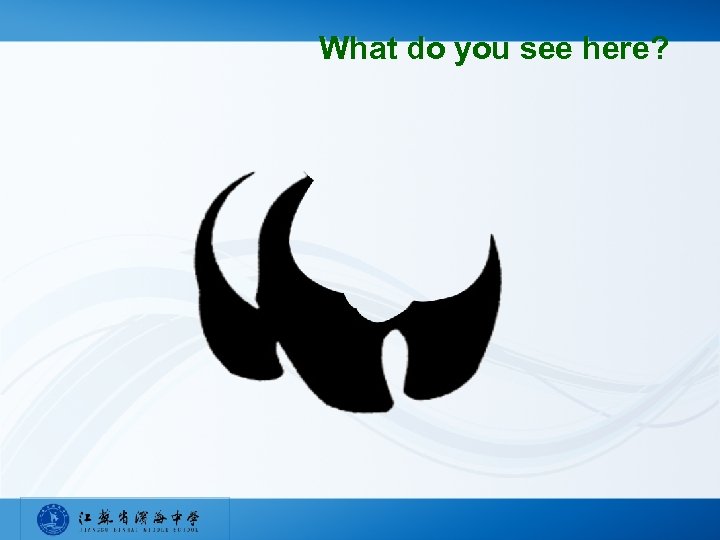 What do you see here? 